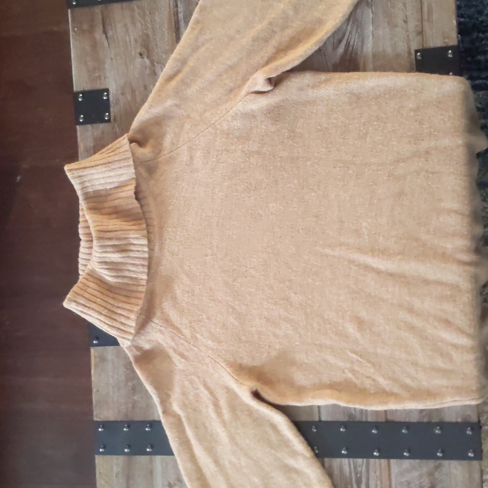 Tan turtle neck